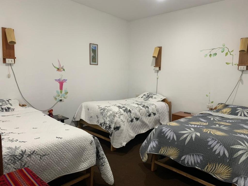 库斯科Tiyana House住宿加早餐旅馆 外观 照片